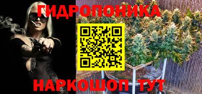 ГАЛЛЮЦИНОГЕННЫЕ ГРИБЫ Заволжье