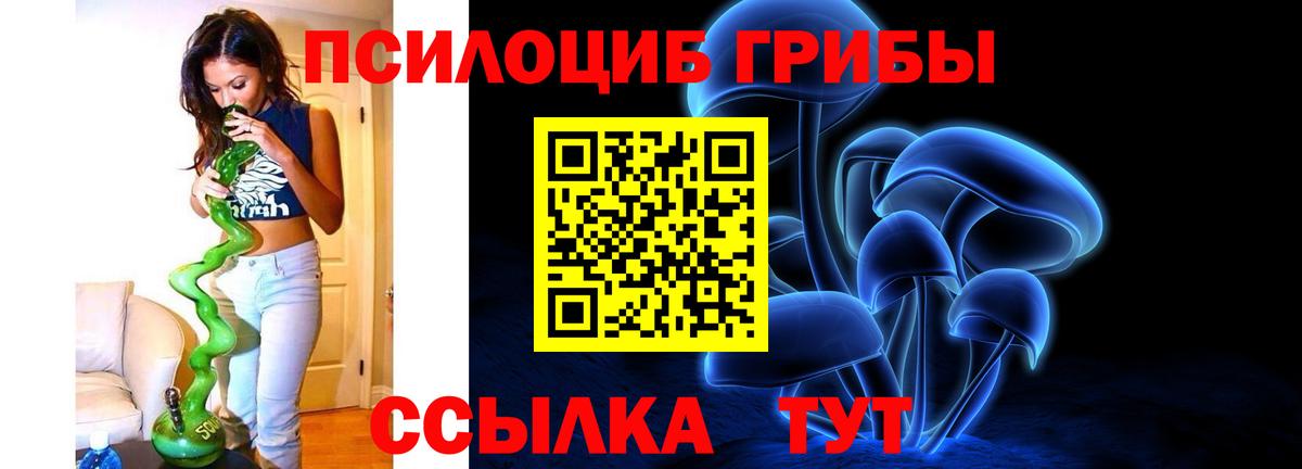 Меф Лесозаводск