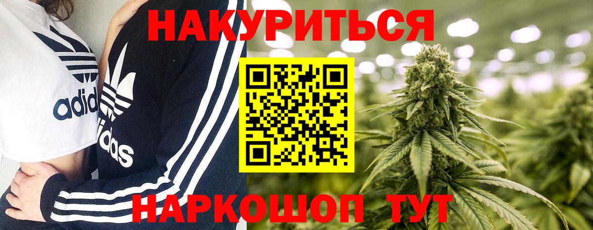 Конопля индика  Вход с VPN  Бошки Шишки индика  Лесозаводск 